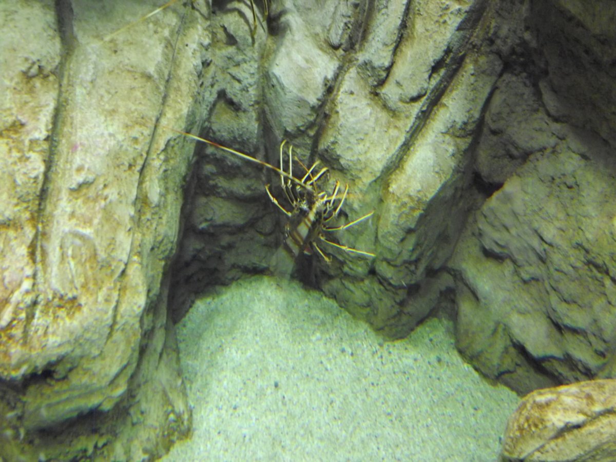 DSCF5299.JPG