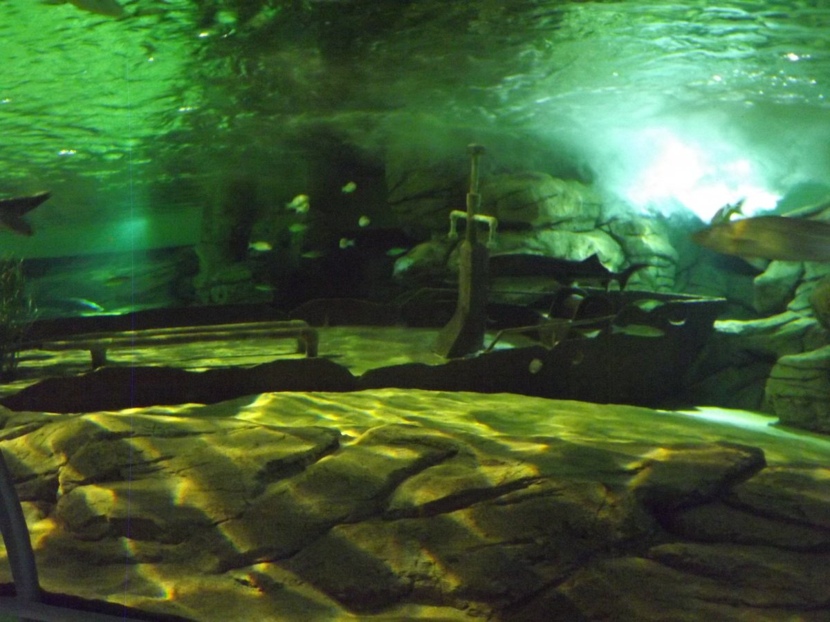 DSCF5308.JPG