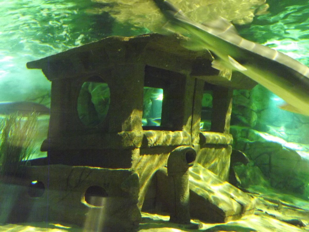 DSCF5311.JPG