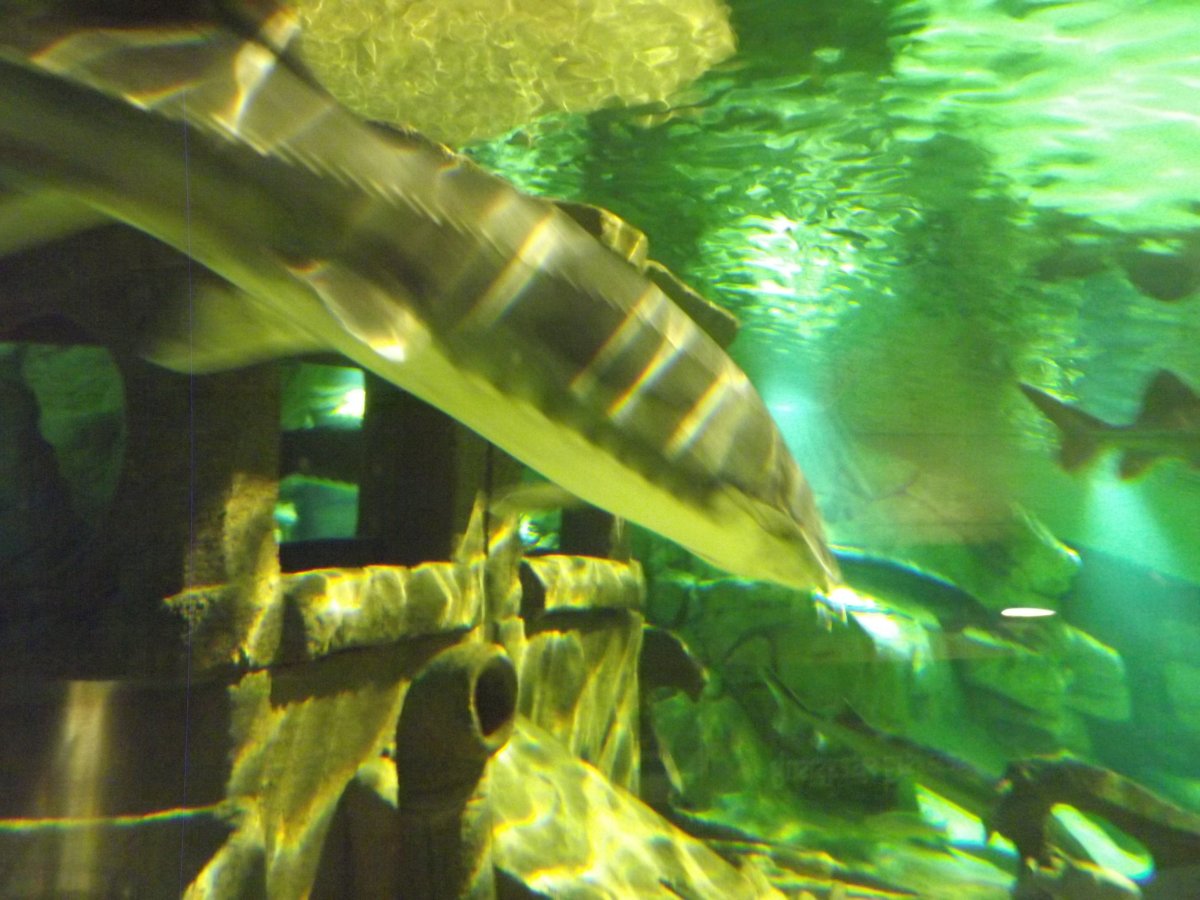 DSCF5312.JPG
