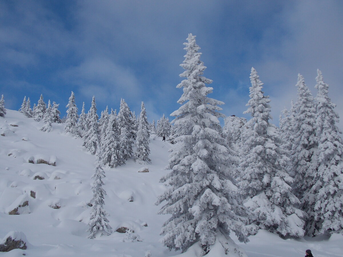 DSCN0188.JPG