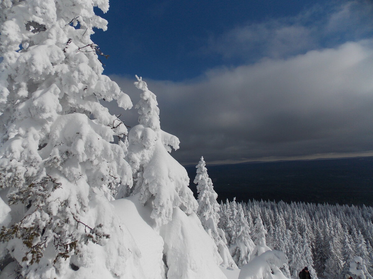 DSCN0197.JPG