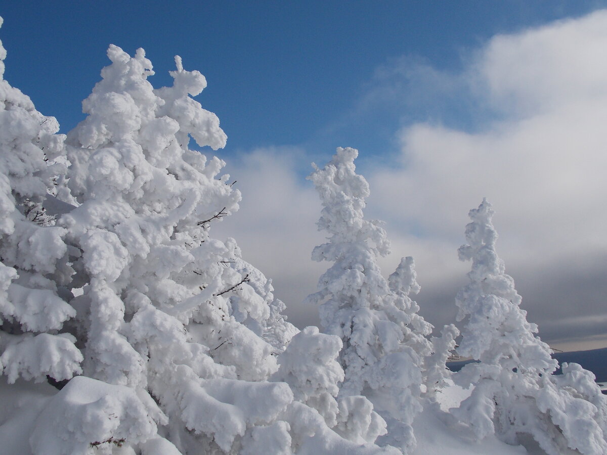 DSCN0201.JPG