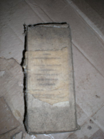 DSCN0528.jpg
