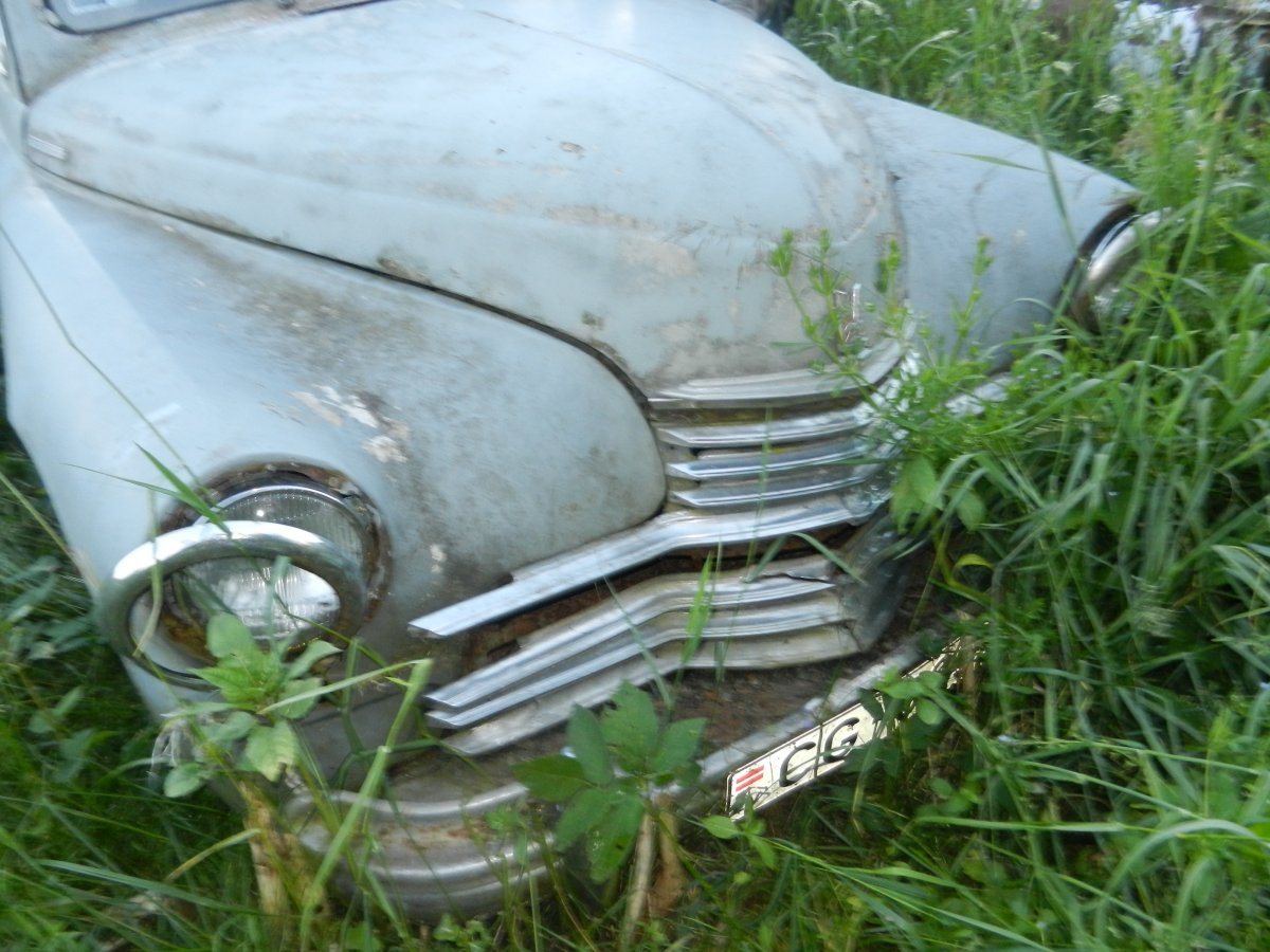 DSCN0779.JPG