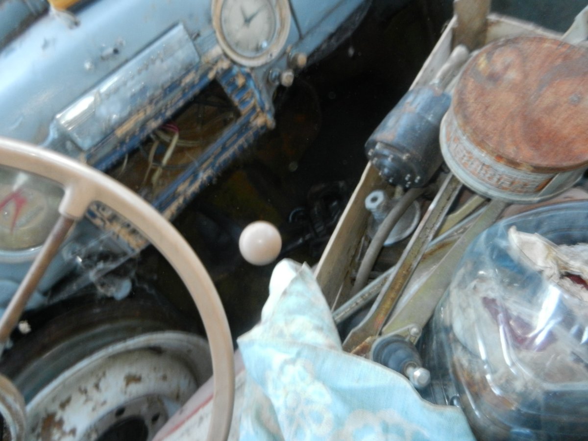 DSCN0786.JPG