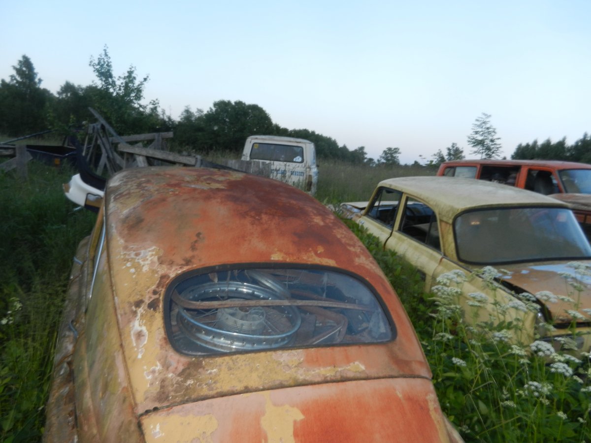 DSCN0800.JPG