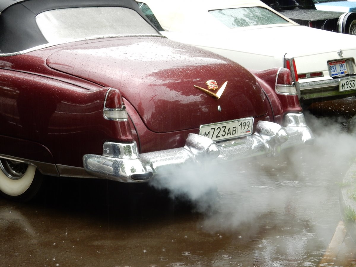 DSCN2970.jpg