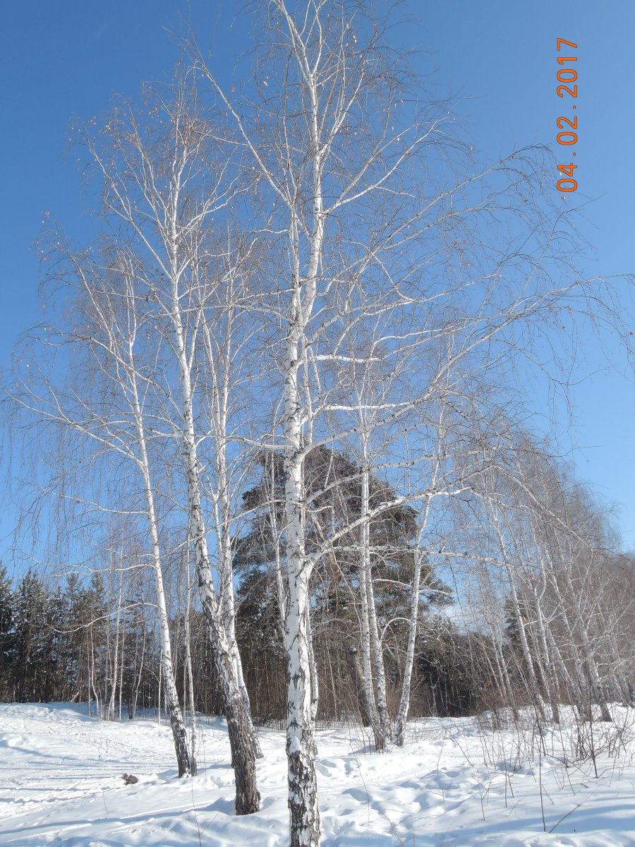 DSCN3462.JPG