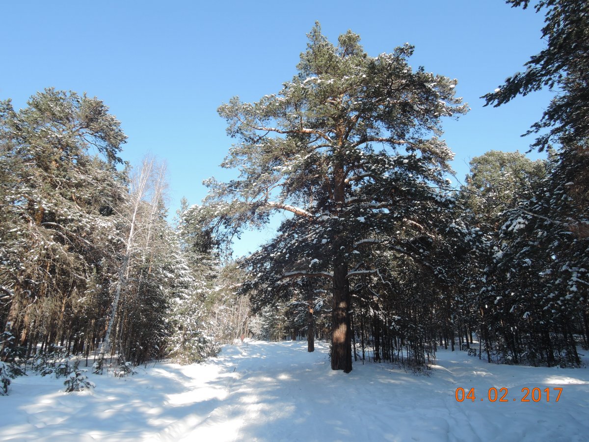 DSCN3466.JPG