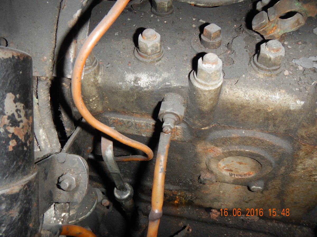 DSCN4509.JPG