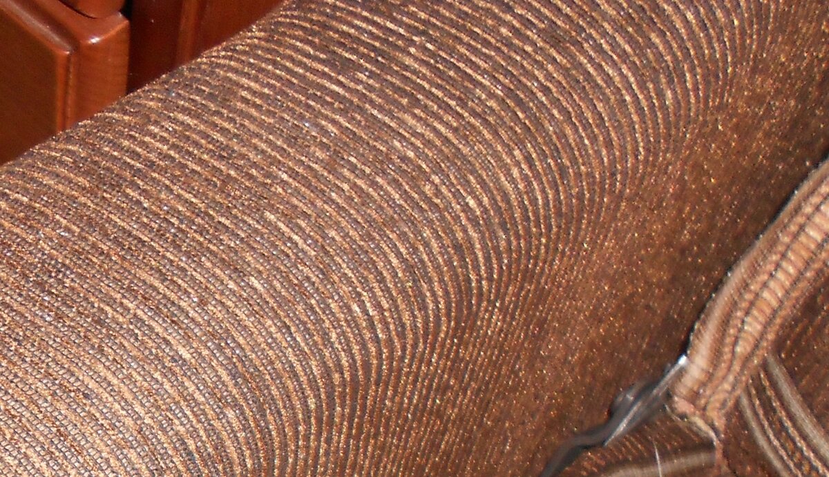 DSCN5239г.jpg