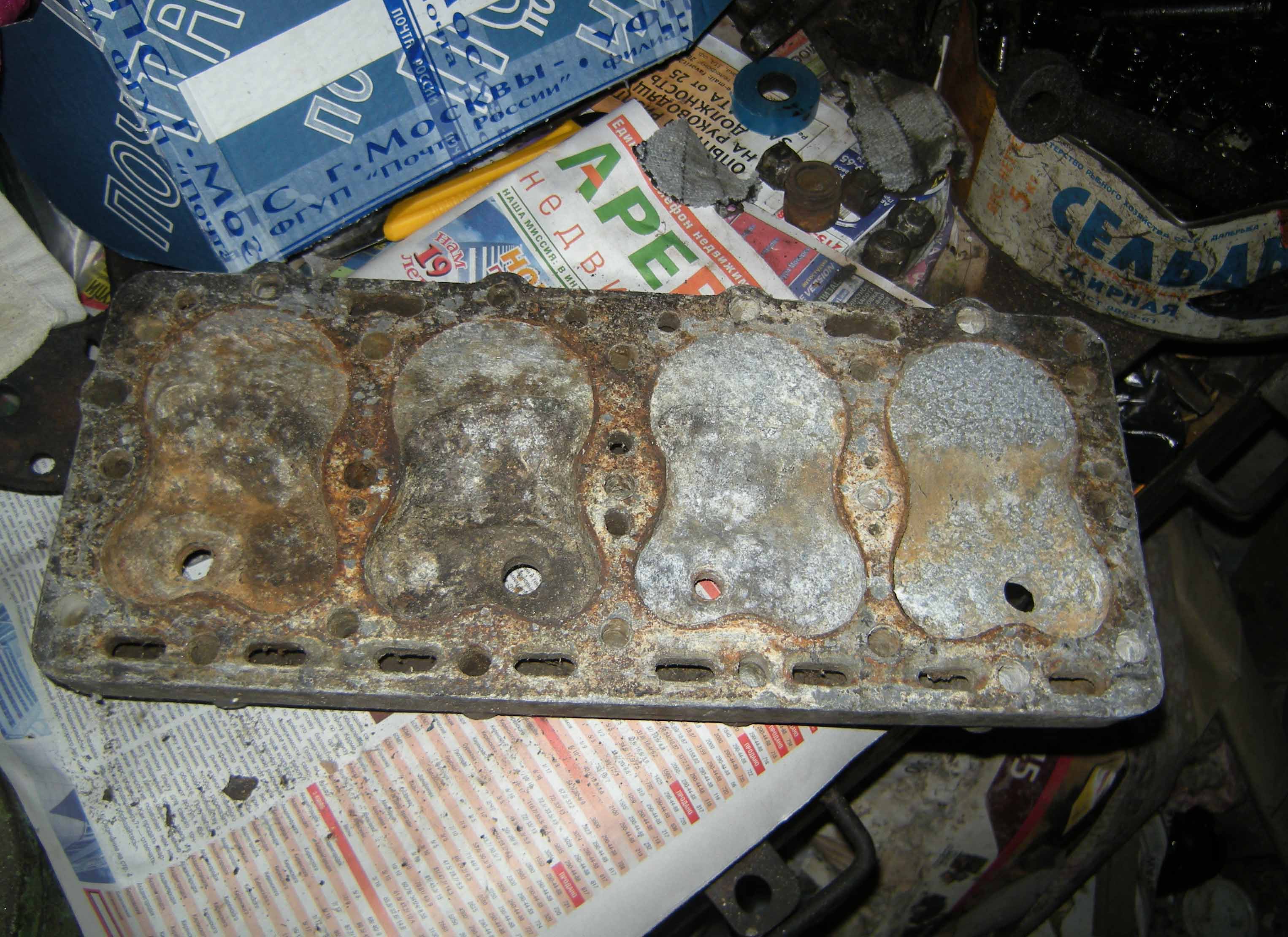 DSCN7804.JPG