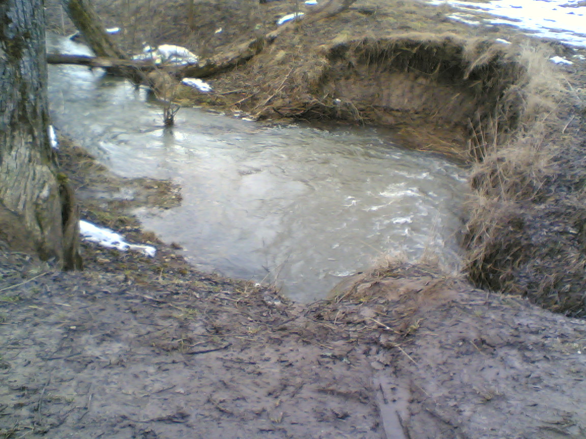 Фото(781).jpg