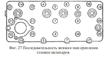 голова.jpg
