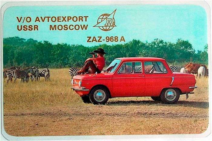 igor2-11061712333933_12.jpg