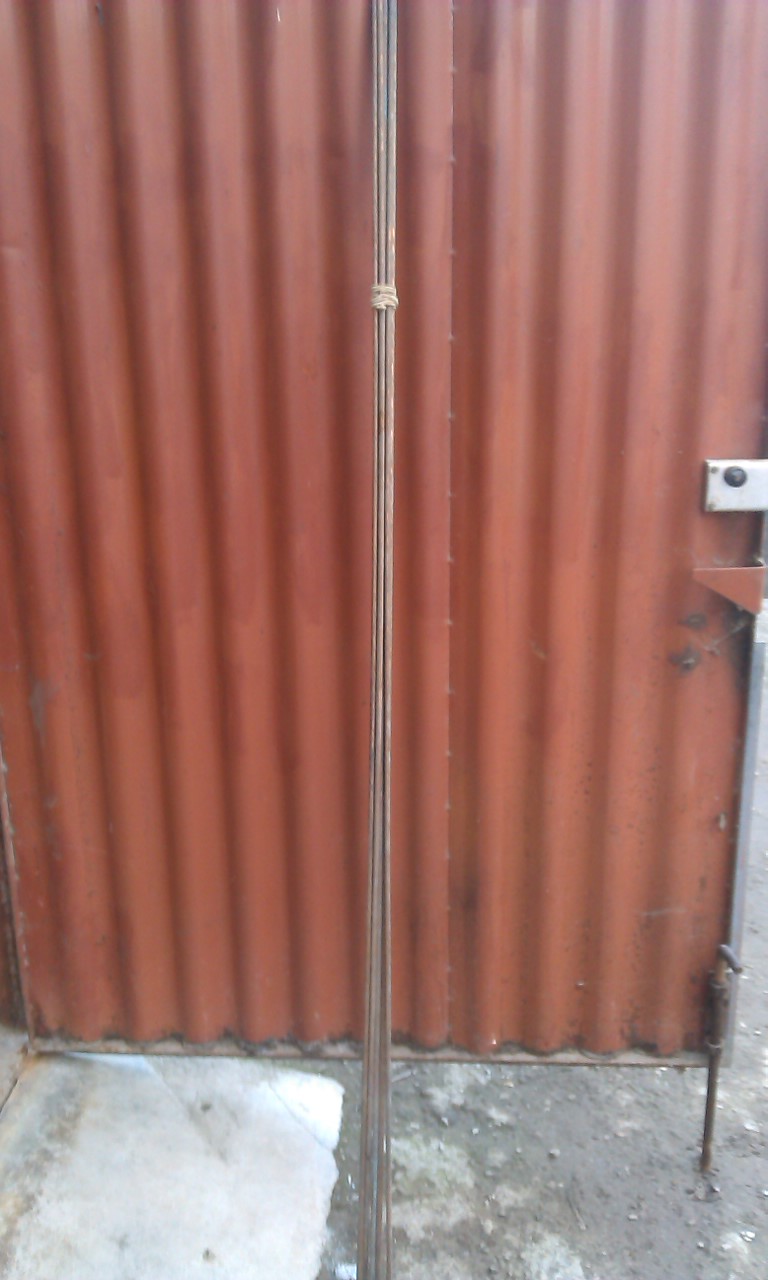 IMAG0251.jpg