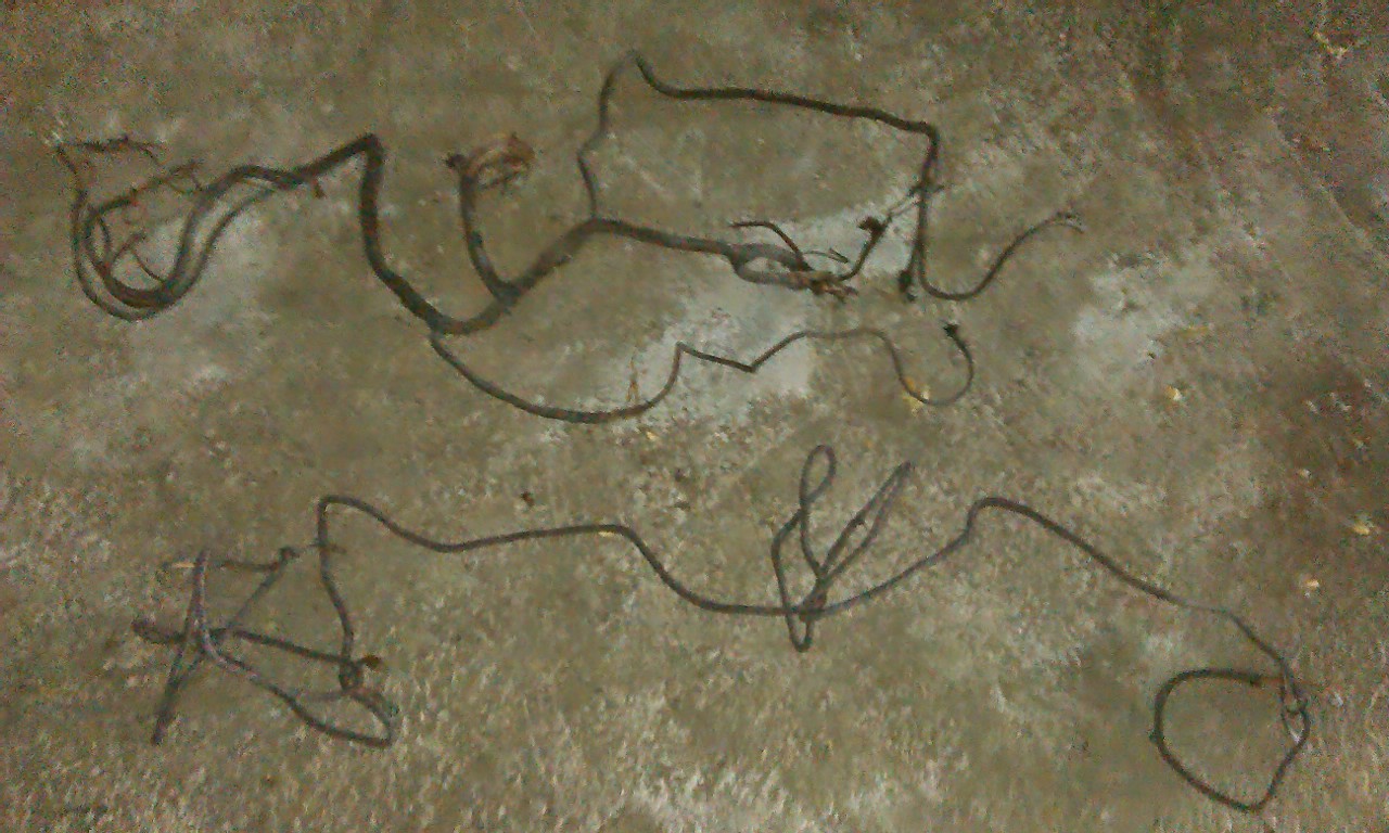 IMAG0265.jpg