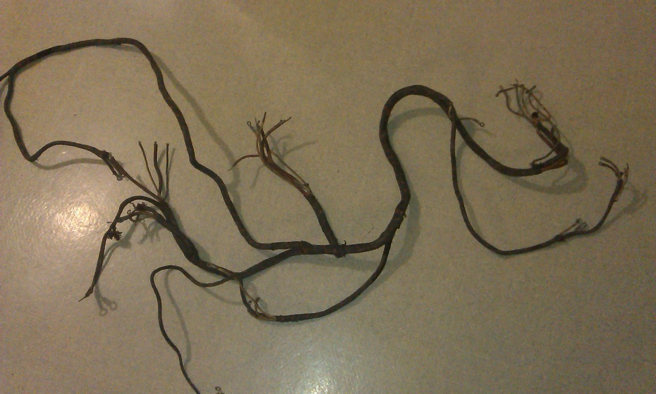 IMAG0305.jpg