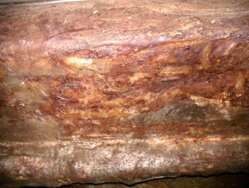 IMAG0351.jpg