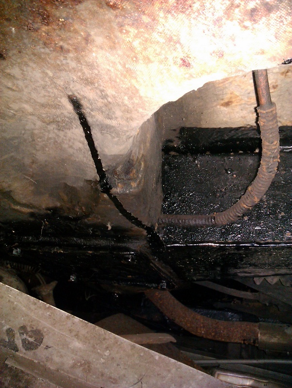 IMAG0373.jpg