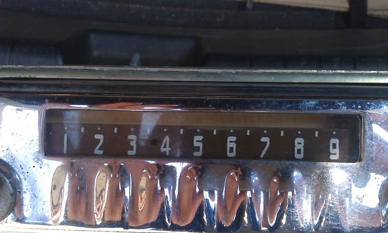 IMAG0733.jpg