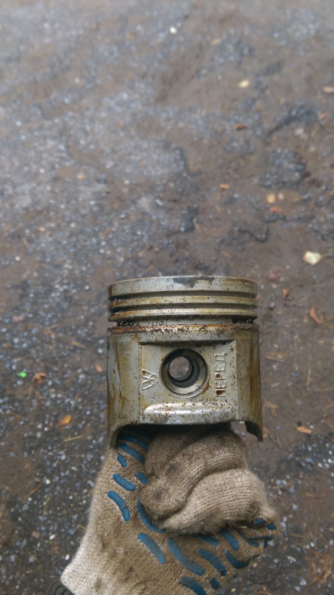 IMAG1339.jpg