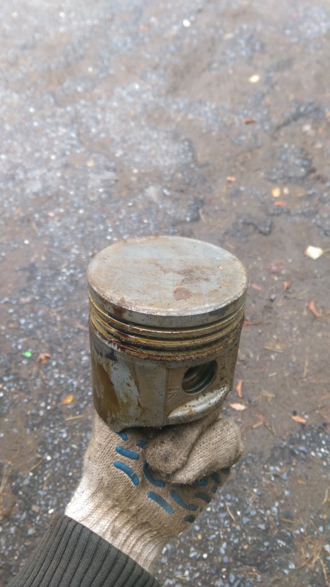 IMAG1340.jpg