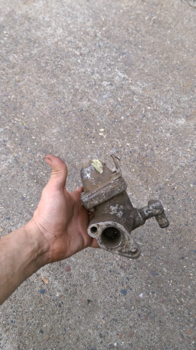 IMAG1450.jpg