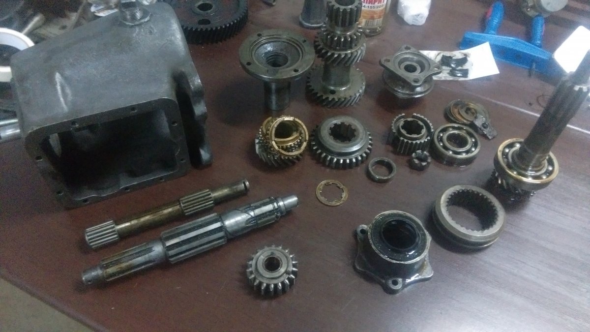 IMAG2490.jpg