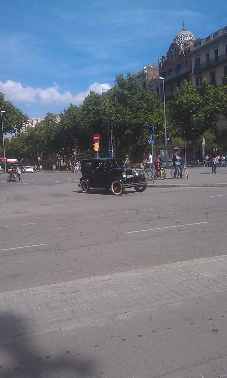 IMAG3554.jpg
