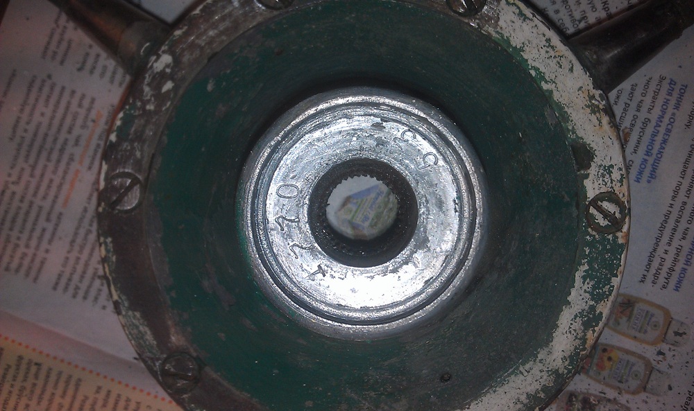 IMAG4900.jpg