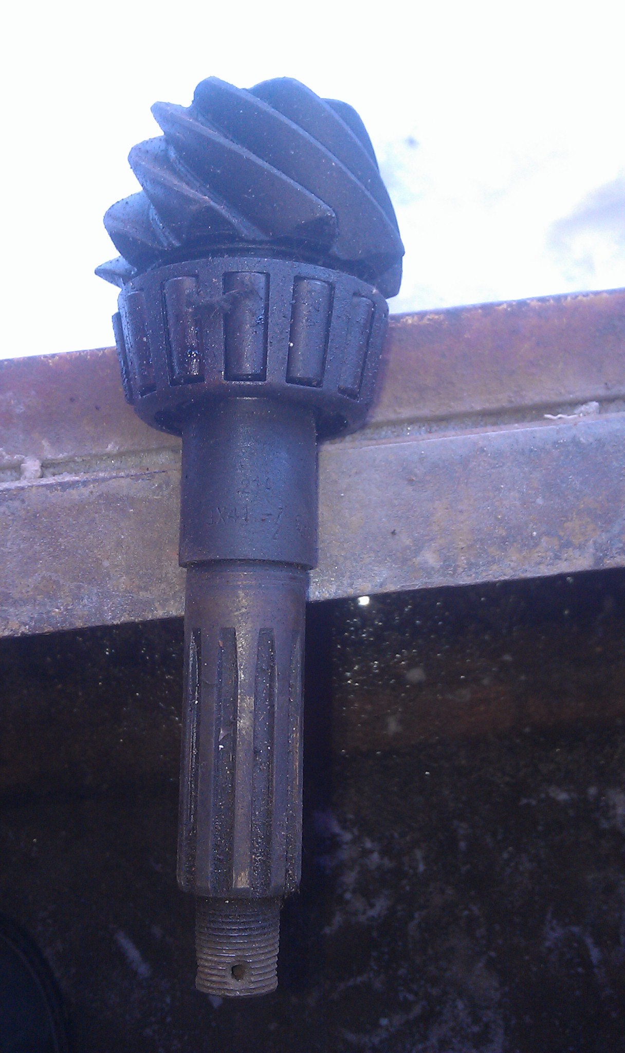 IMAG5232.jpg