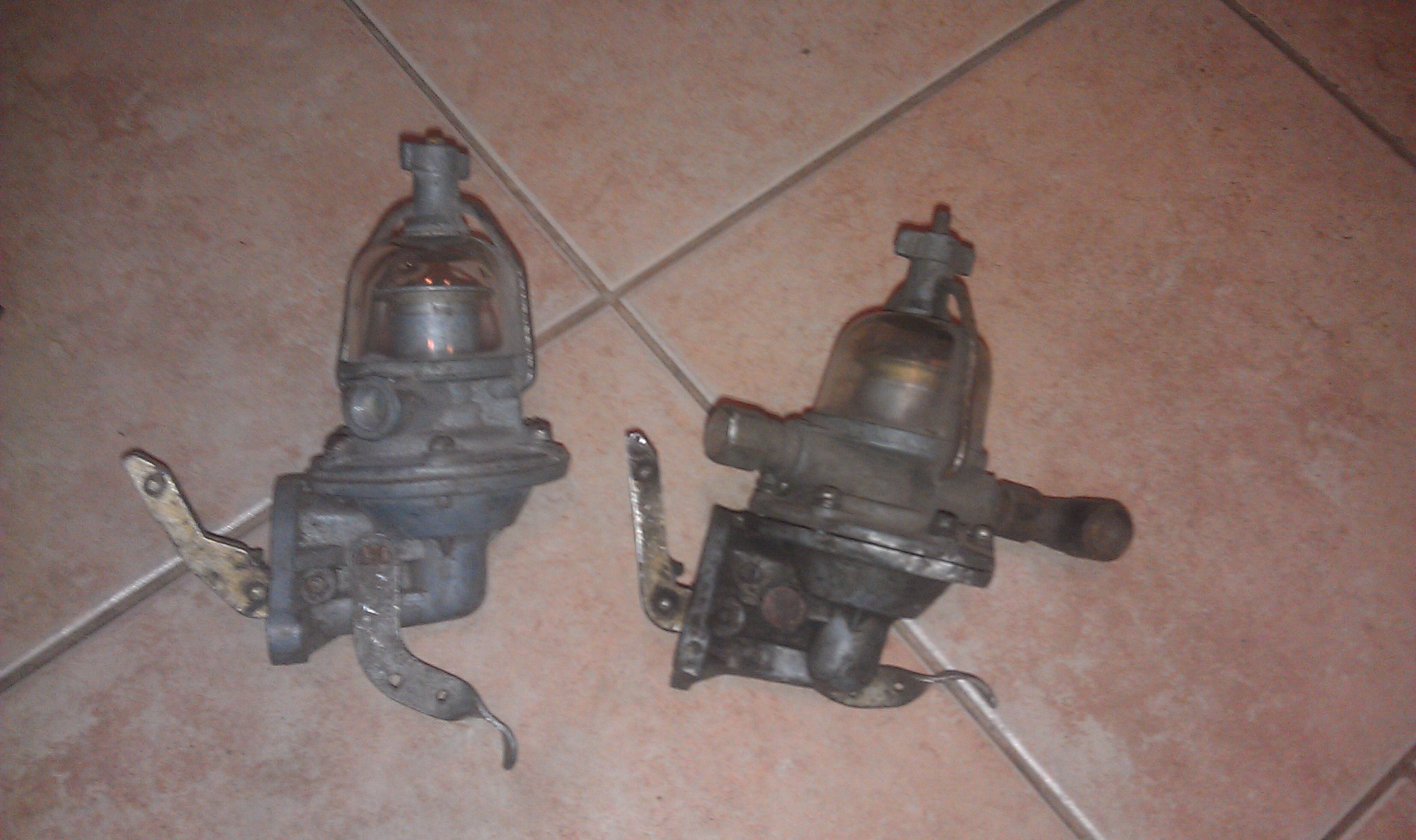 IMAG5282.jpg