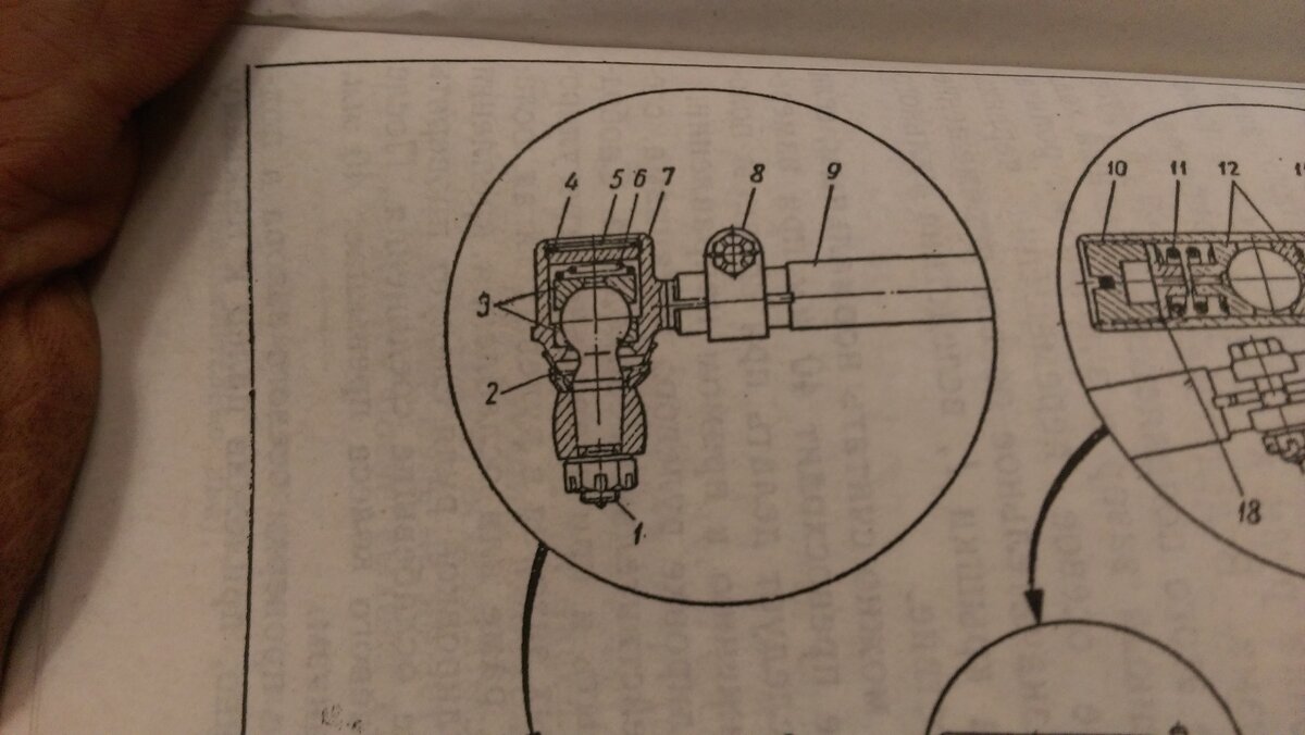 IMAG5890.jpg