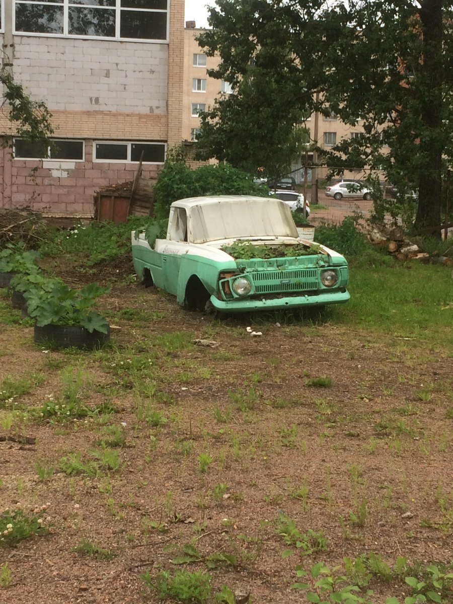 image.jpeg