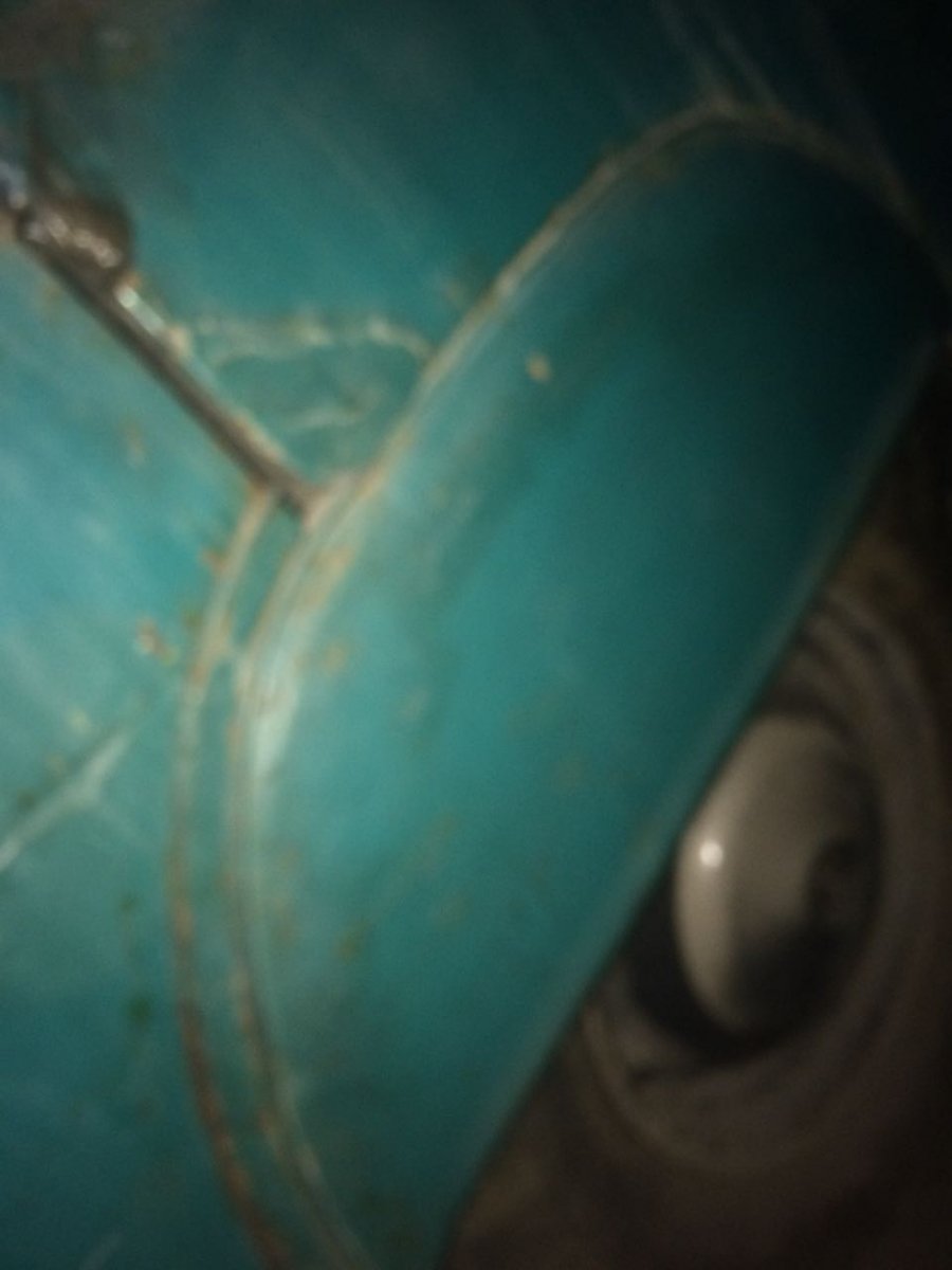 image.jpeg