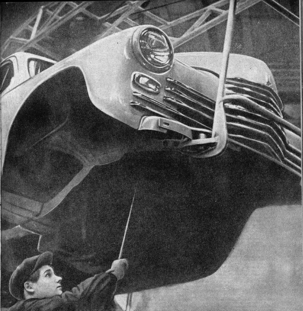 image.jpg