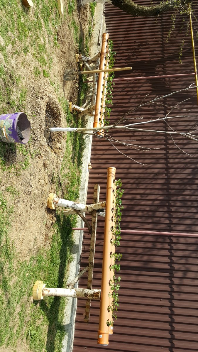IMG-20160503-WA0004.jpeg