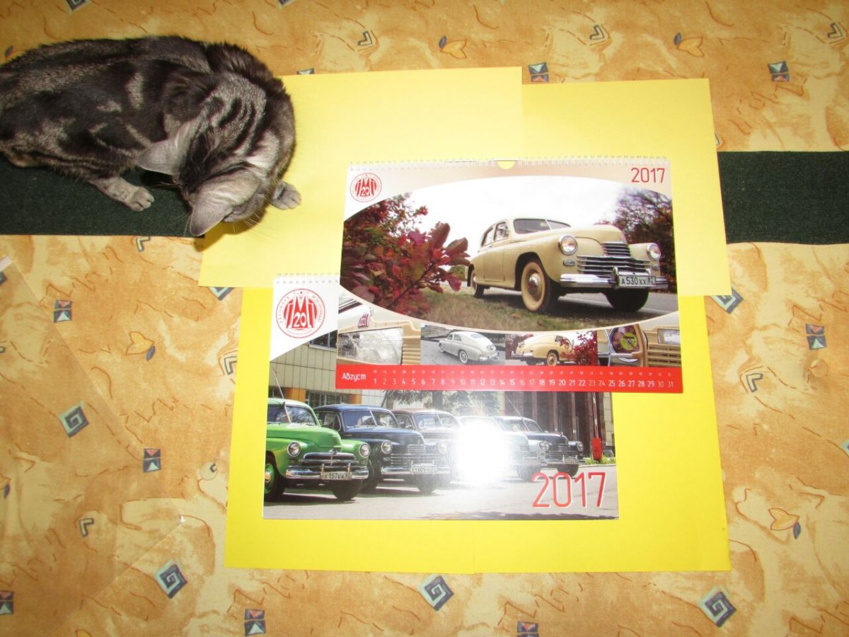 IMG-20170109-WA0012.jpg