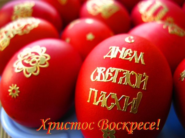 IMG-20170416-WA0007.jpg