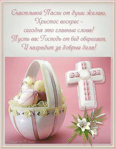 IMG-20170416-WA0041.jpg