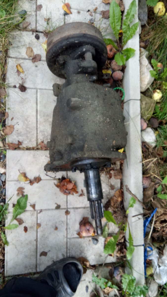 IMG-20170908-WA0015.jpeg