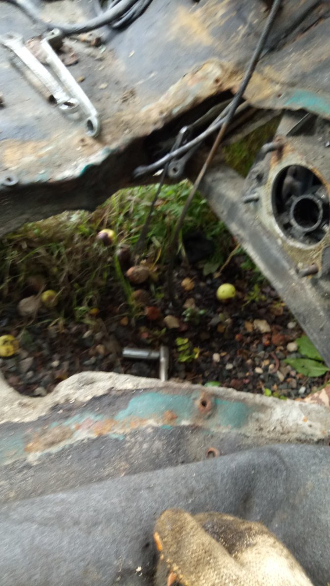 IMG-20170908-WA0017.jpeg