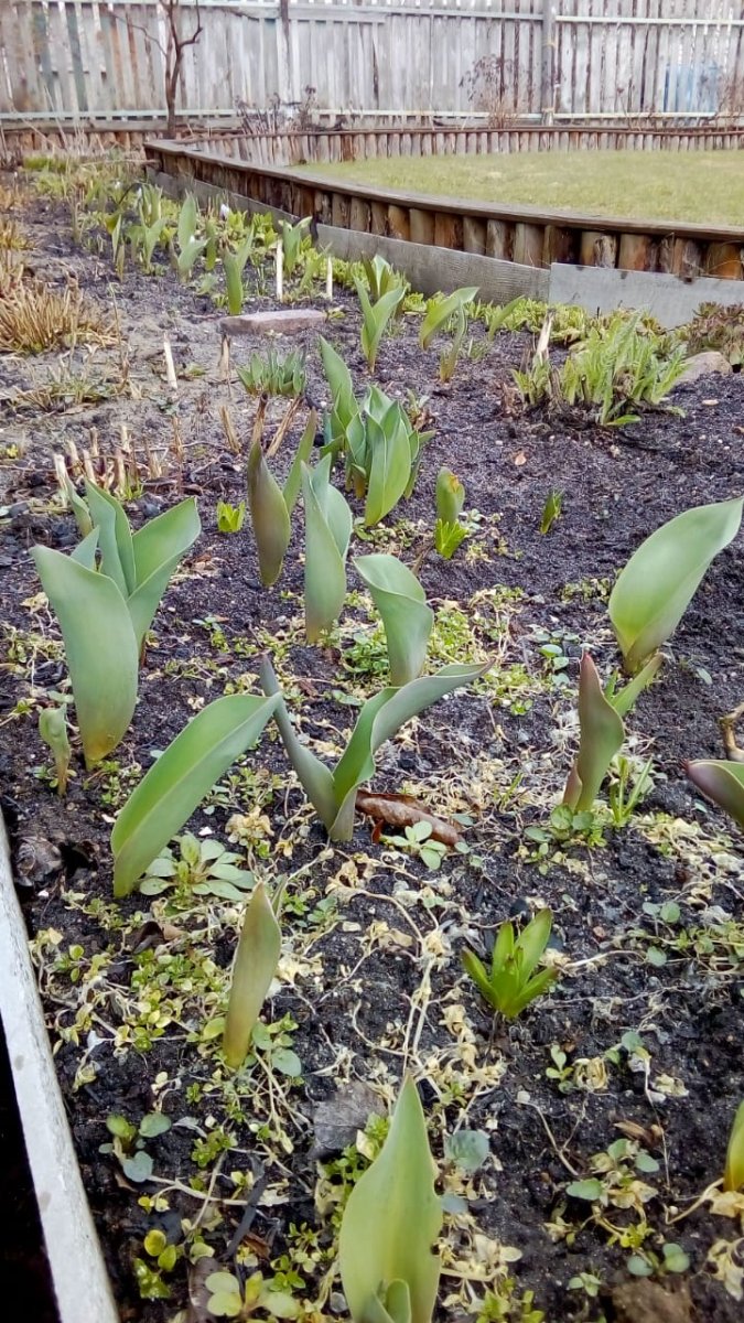IMG-20190414-WA0028.jpg