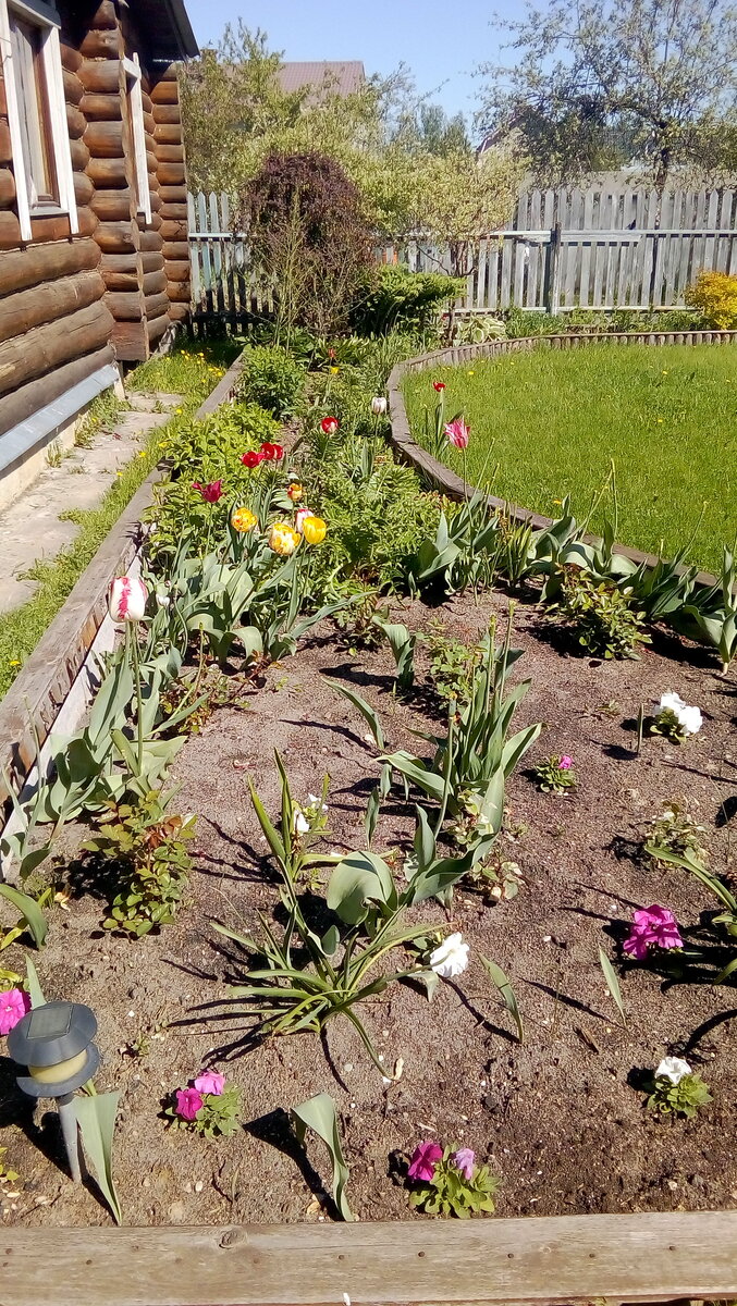 IMG-20190519-WA0015.jpeg