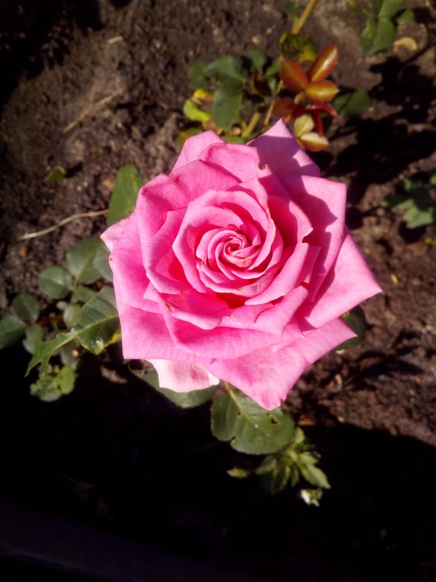 IMG-20190614-WA0003.jpg