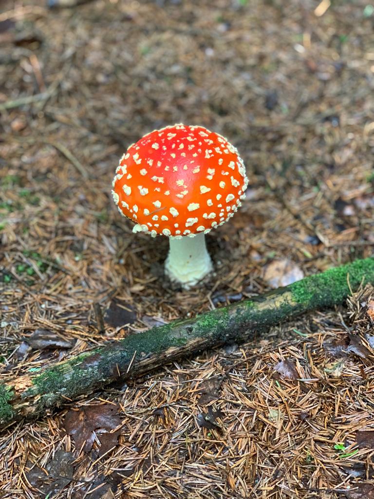 IMG-20190721-WA0016.jpg
