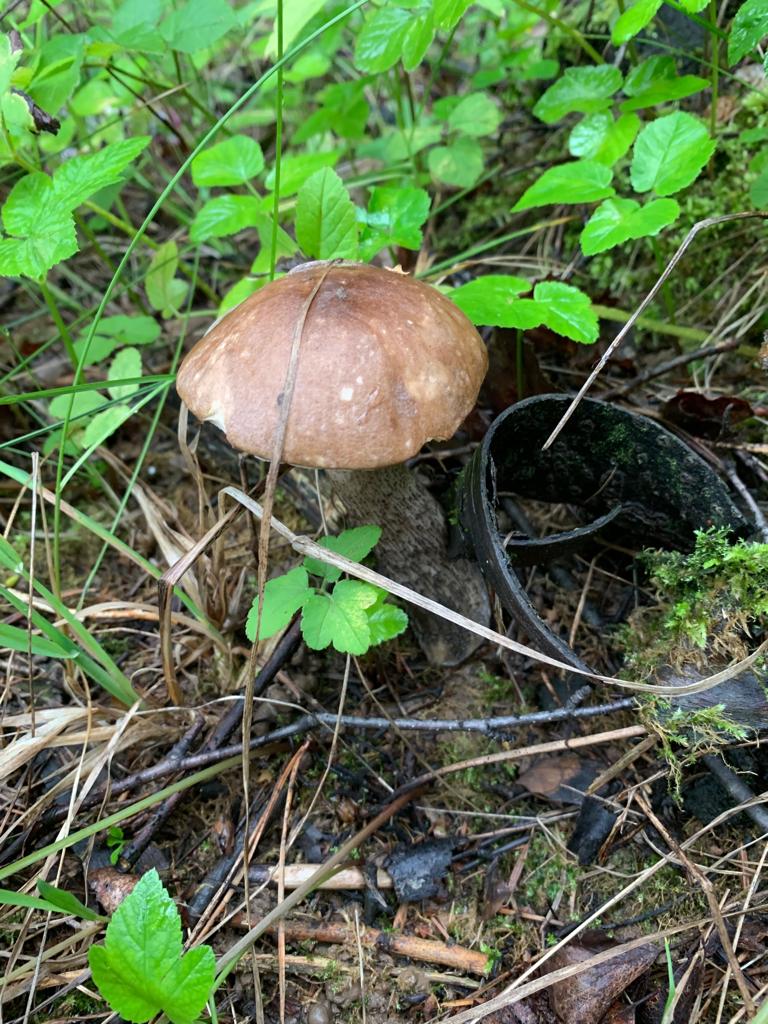 IMG-20190721-WA0019.jpg