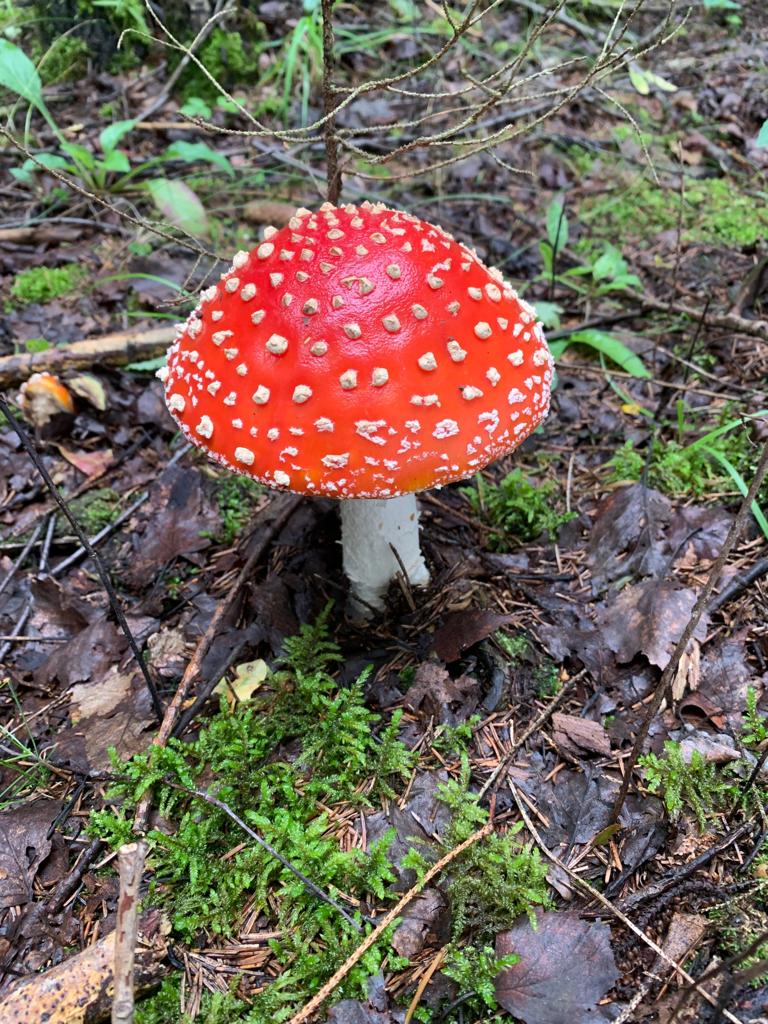 IMG-20190721-WA0021.jpg